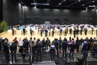 Bien naître et Grands raceurs, de la place pour tous