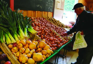 Le visage contrasté de l’agriculture biologique