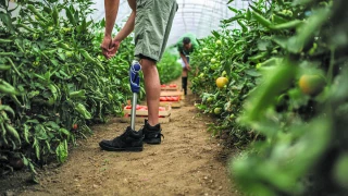 Handicap et travail en agriculture : des adaptations existent