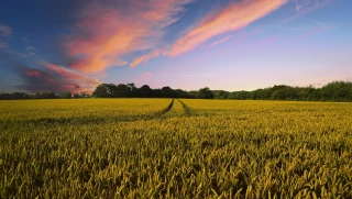 HVE : reconnaissance des pratiques respectueuses de l’environnement