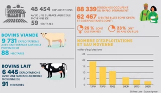 Recensement agricole : les premières tendances ligériennes