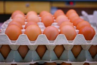 Grippe aviaire : mesures maintenues et renforcées autour d’Arthun
