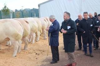 Palmarès du concours d'animaux de boucherie