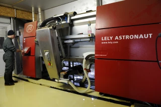 Robot de traite : du changement à prévoir à la stabulation !
