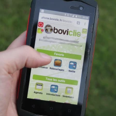 Boviclic : la solution sérénité pour le suivi du troupeau