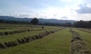 Les Français ont une bonne image de l’agriculture