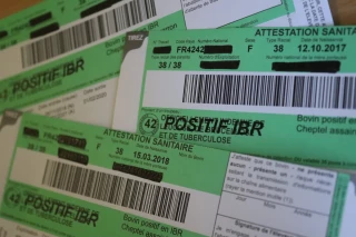 IBR : « Il est urgent d’agir, dans l’intérêt de tous »