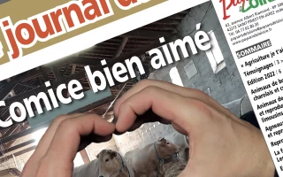 Téléchargez le Journal du comice (1re édition)