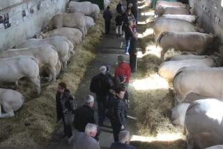 Comice : éleveurs et partenaires fidèles