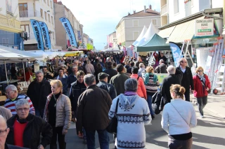 Foire-exposition : à la conquête du centre-ville