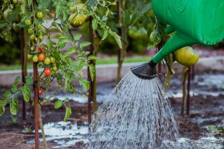 Nouvelles restrictions pour les usages de l’eau