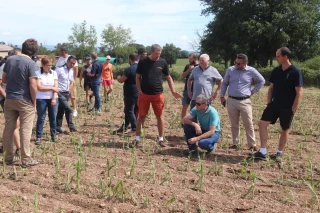 Après la grêle, de nombreuses interrogations
