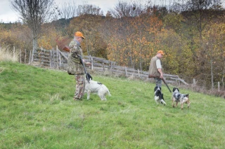 3,2 millions d’euros en faveur du nouveau plan de chasse