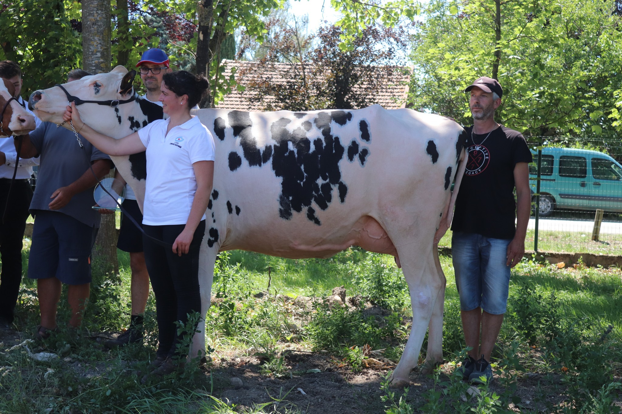 , le prix de la meilleure mamelle revient à Facelie JO (Maki Bari x Mascalese) du Gaec de Jourcy à Saint-Symphorien-de-Lay. 