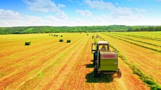 Comptes de l’agriculture : hausse généralisée des prix