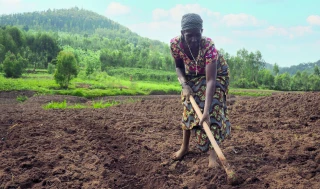 Afdi s’engage dans la promotion des femmes