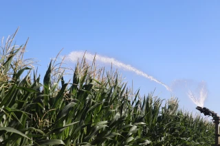 Une campagne d’irrigation longue et intense