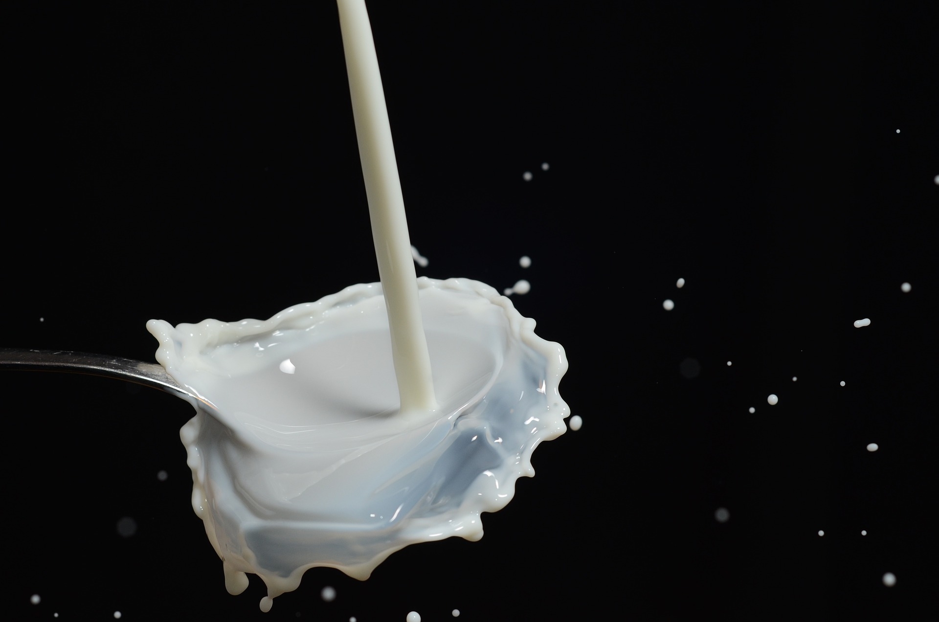 Le prix du lait en France est l’un des plus faibles d’Europe