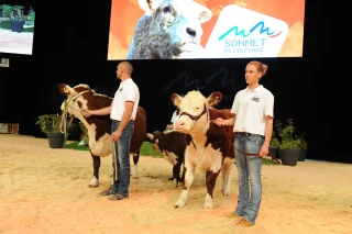Du côté des expositions des animaux