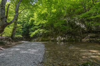 « Retour d’expérience » sur la sécheresse 2022