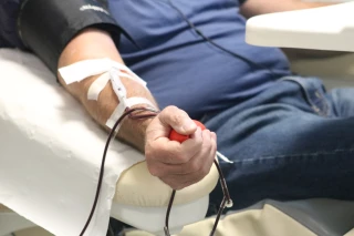 La solidarité dans le sang