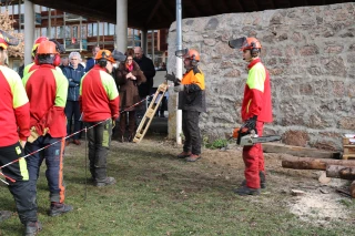 Un pôle forêt environnement pour former à la mécanisation de la filière
