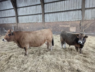 Sanitaire : quelles évolutions pour 2023 ?