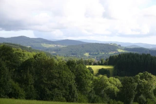 Des actions pour protéger la forêt et booster la filière bois