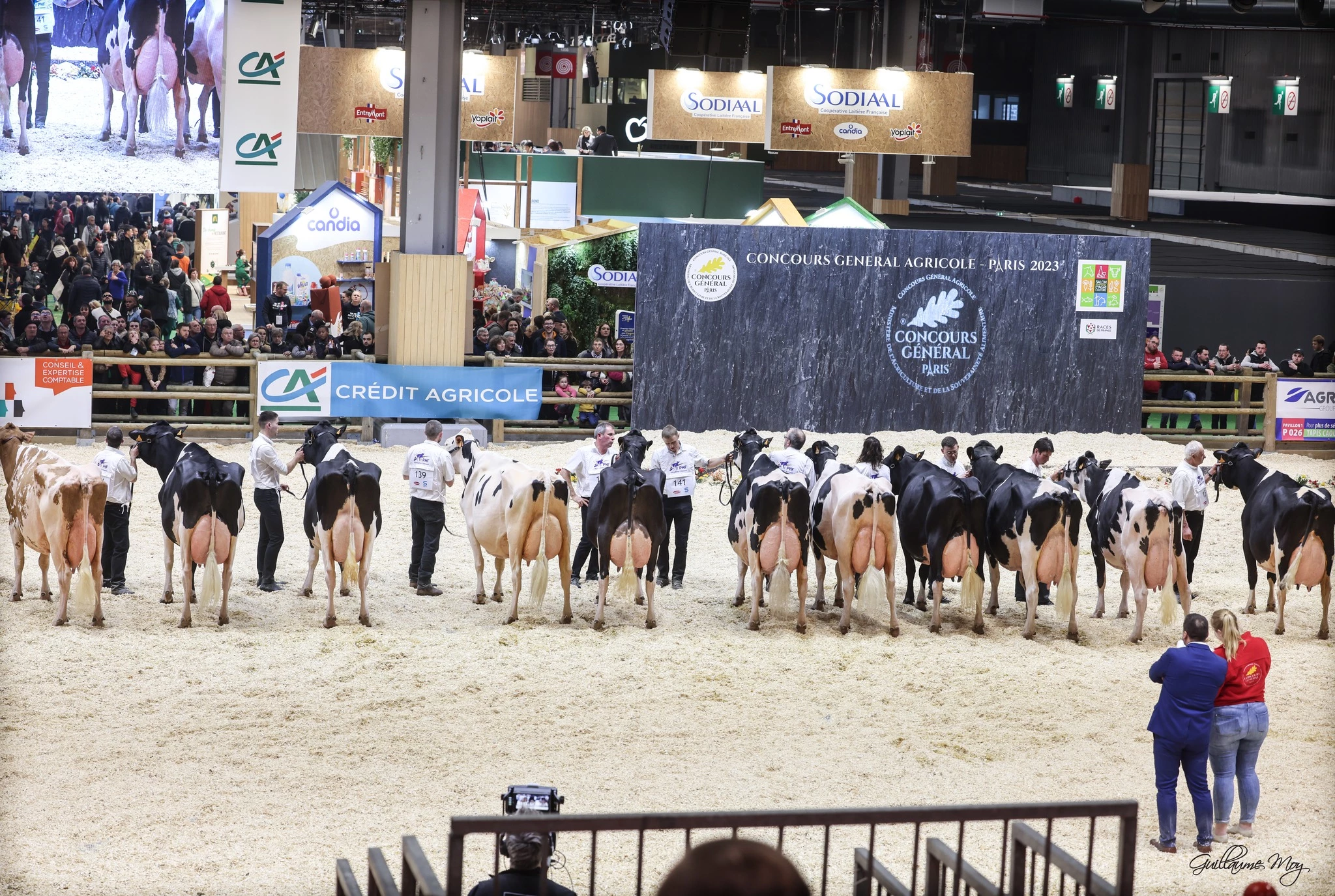 La Loire obtient de nombreuses médailles