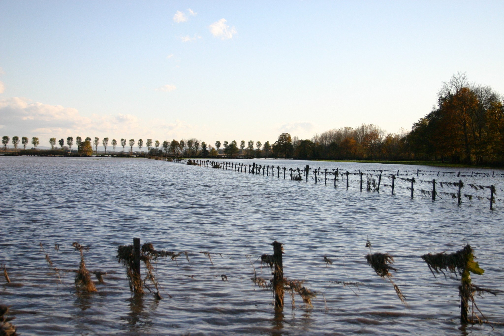 En 2008, la Loire inonde une partie de la plaine du Forez et du Roannais, à l’image de cette photo prise aux abords de Feurs.