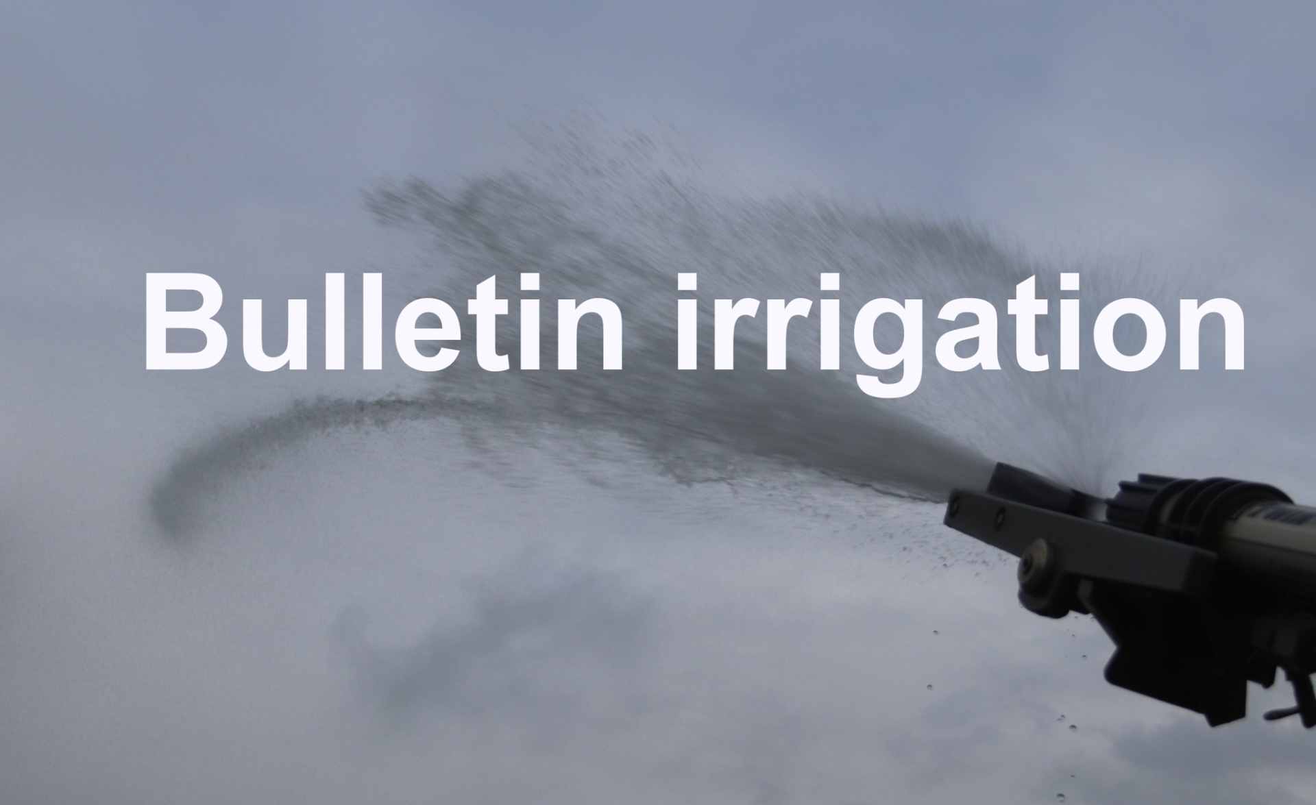 Bulletin d’irrigation du 24 au 30 avril