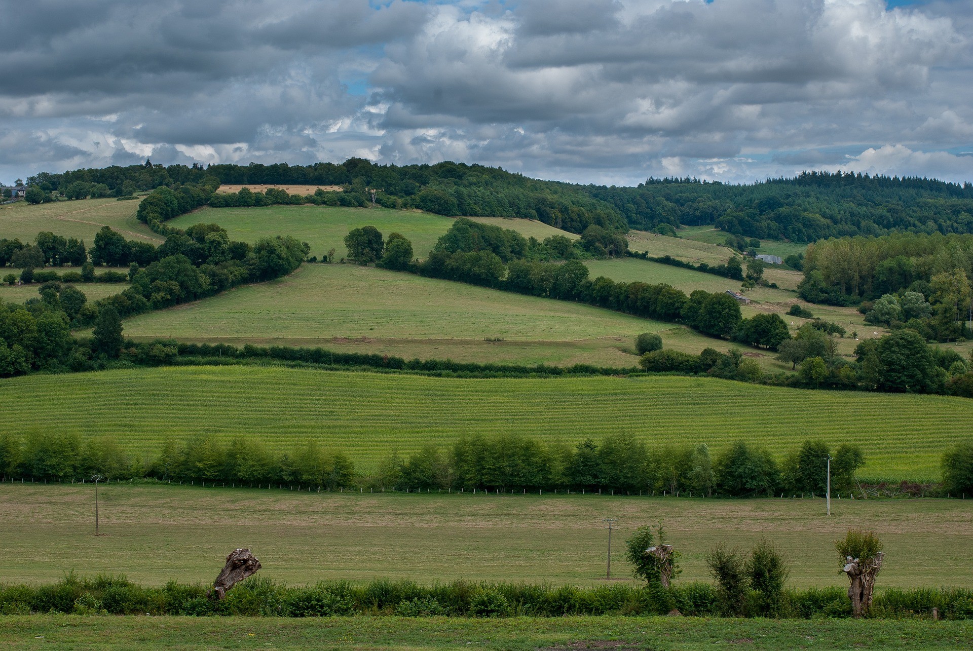 Biodiversité : réglementations en vigueur et obligations Pac