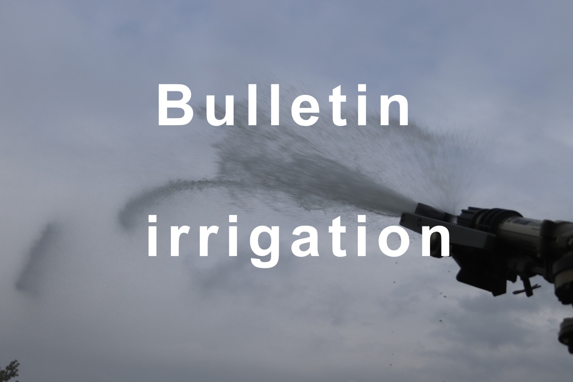 Bulletin d’irrigation du 15 au 21 mai