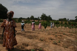 Afdi Loire poursuit ses actions au Sénégal