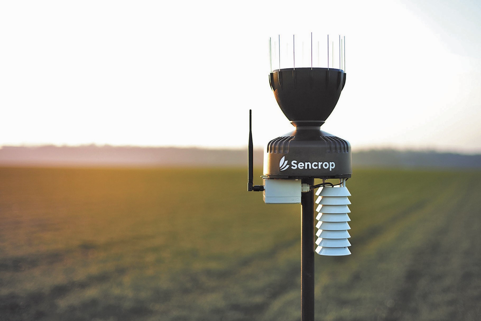 Les startups, acteurs presque incontournables du secteur agricole