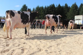 Deux jours d’animations
