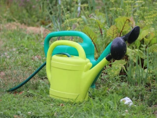Allègement des restrictions des usages de l’eau