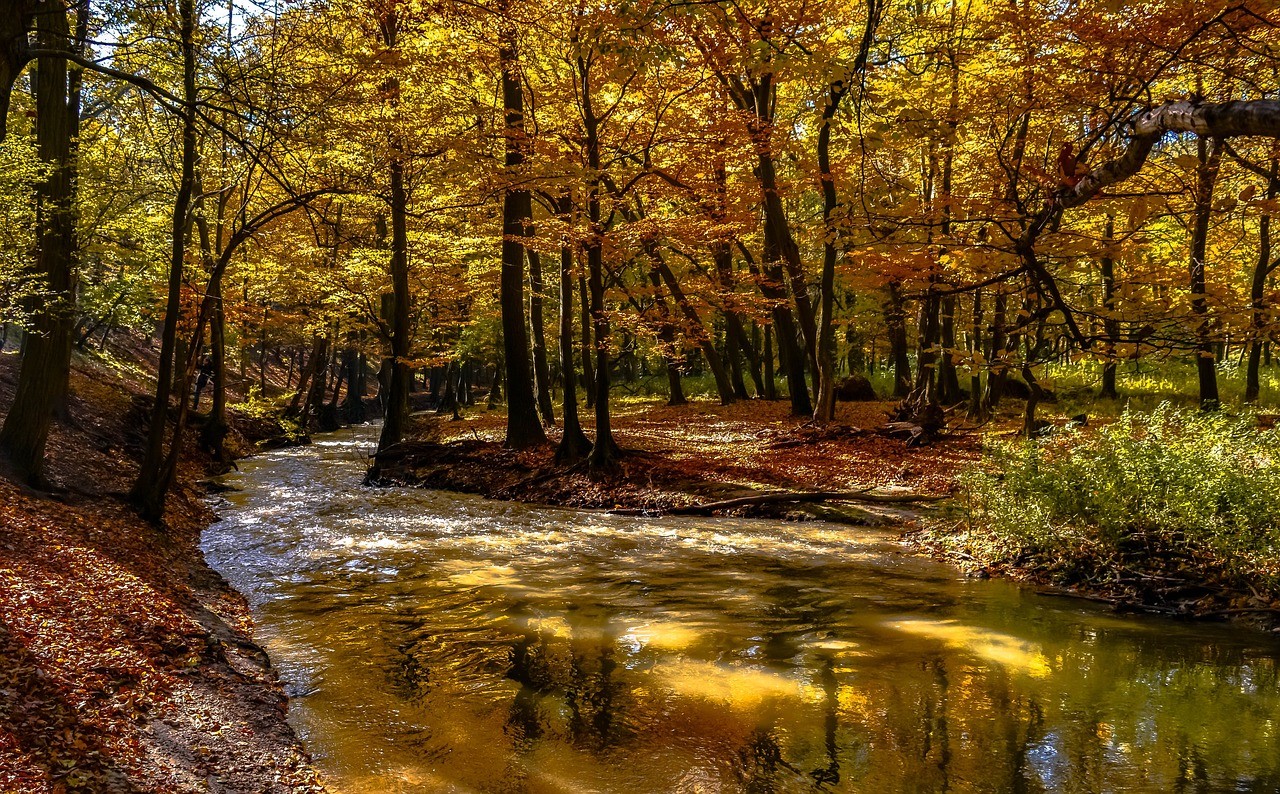 Allègement des restrictions des usages de l’eau