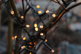 Vers un Noël plus vert