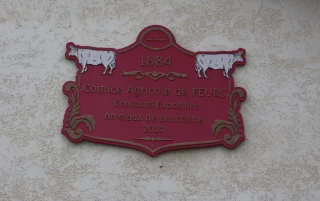 Retrouvez tous les palmarès