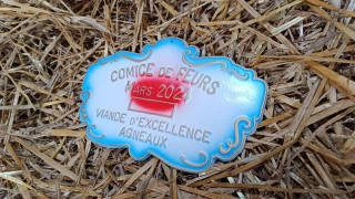 Palmarès du concours d'agneaux de boucherie