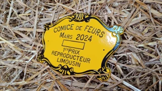 Palmarès des concours de reproducteurs bovins