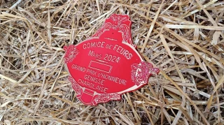 Palmarès du concours d'animaux de boucherie charolais et croisés