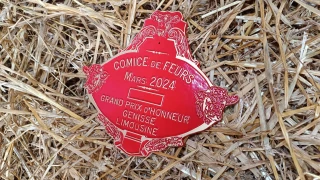 Palmarès du concours d'animaux de boucherie limousins