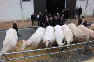 Les concours, le cœur de l’événement