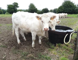 Quelles aides pour économiser l’eau potable en agriculture ?