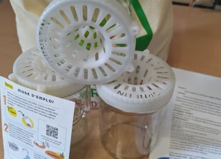 Opération de piégeage des fondatrices