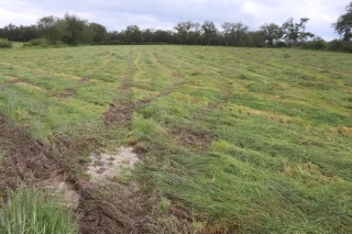 Récoltes : se poser les bonnes questions