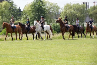 Le Conseil de la filière cheval, qu’est-ce que c’est ? 