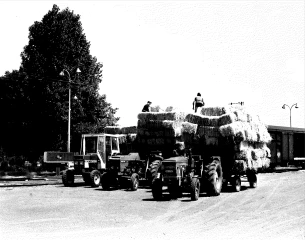 Entre essor agricole et figures emblématiques ligériennes